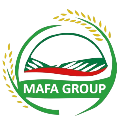 Mafa Group Logo
